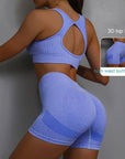 SPORTS BRA & SHORTS SCRUNCH GYM SET - LUNA